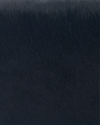 Black cow