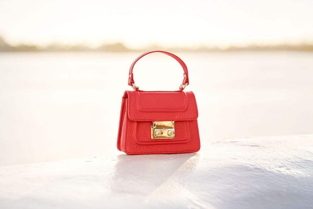 Mini Sling/Crossbody Bag - The Gigi